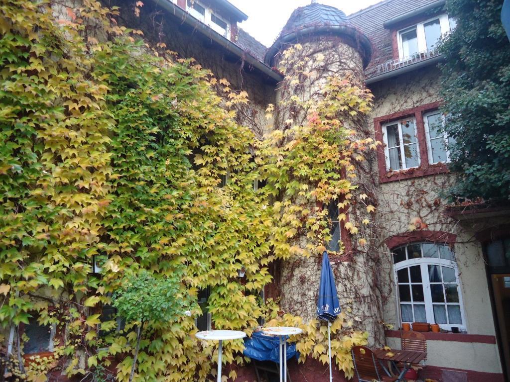 Hotel Burg-Stuben Майнц Экстерьер фото