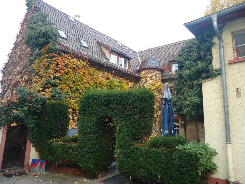 Hotel Burg-Stuben Майнц Экстерьер фото